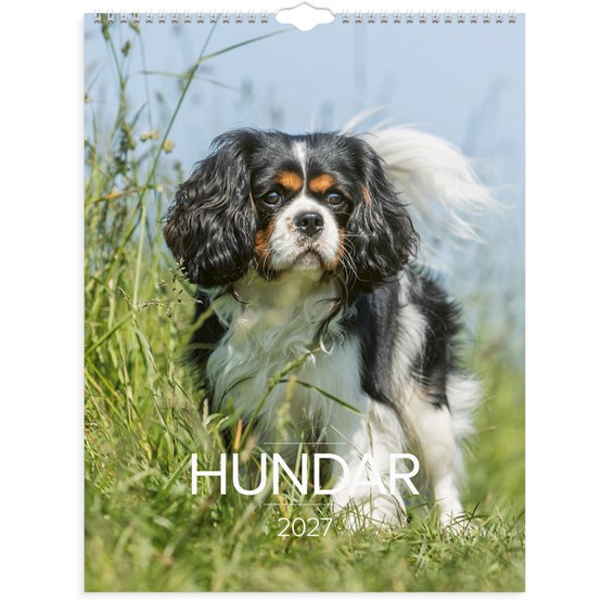 Väggkalender 2027 Stora Hundkalendern
