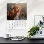 Väggkalender 2027 Stora Hundkalendern