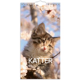 Väggkalender 2027 Liten Kattkalender