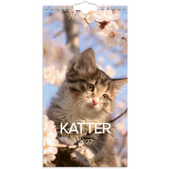 Väggkalender 2027 Liten Kattkalender