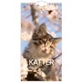 Väggkalender 2027 Liten Kattkalender