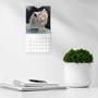 Väggkalender 2027 Liten Kattkalender