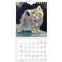 Väggkalender 2027 Liten Kattkalender