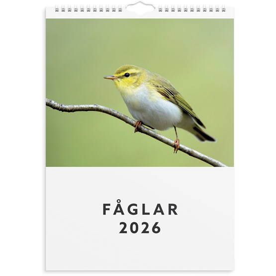 Väggkalender 2026 Fåglar