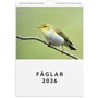 Väggkalender 2026 Fåglar