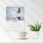 Väggkalender 2027 Fåglar