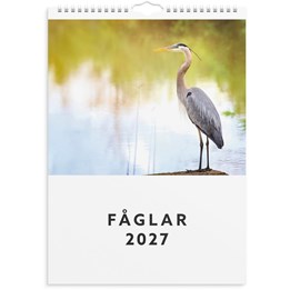 Väggkalender 2027 Fåglar