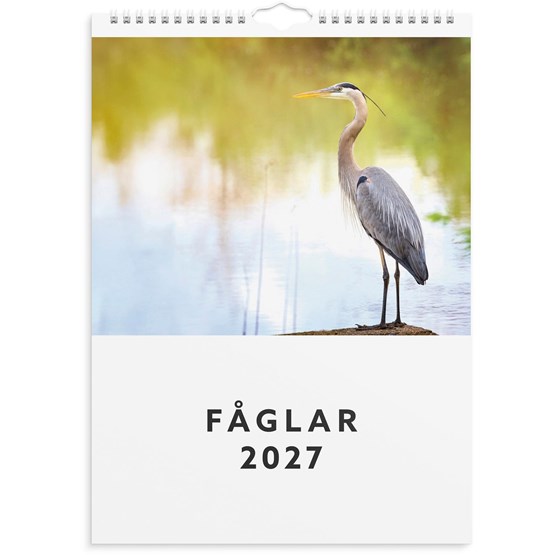 Väggkalender 2027 Fåglar