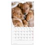 Väggkalender 2027 Liten Hundkalender