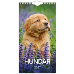 Väggkalender 2027 Liten Hundkalender