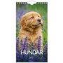 Väggkalender 2027 Liten Hundkalender