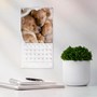 Väggkalender 2027 Liten Hundkalender
