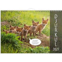 Väggkalender 2027 Djurkul