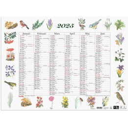 Väggkalender 2025 Stora Naturalmanackan