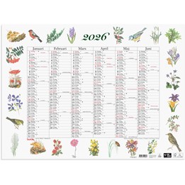 Väggkalender 2026 Stora Naturalmanackan