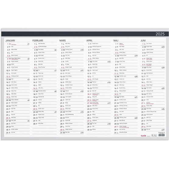 Väggkalender 2025 Väggblad Elegant 600x400mm
