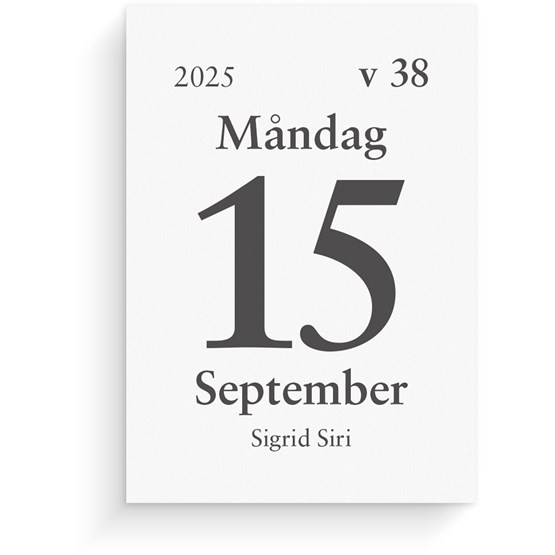 Kalender 2025 Dagblock 44x63 mm