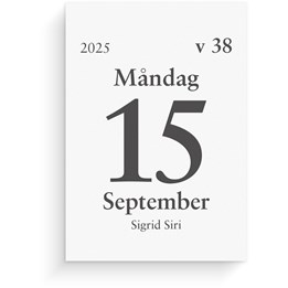 Kalender 2025 Dagblock 75x107 mm